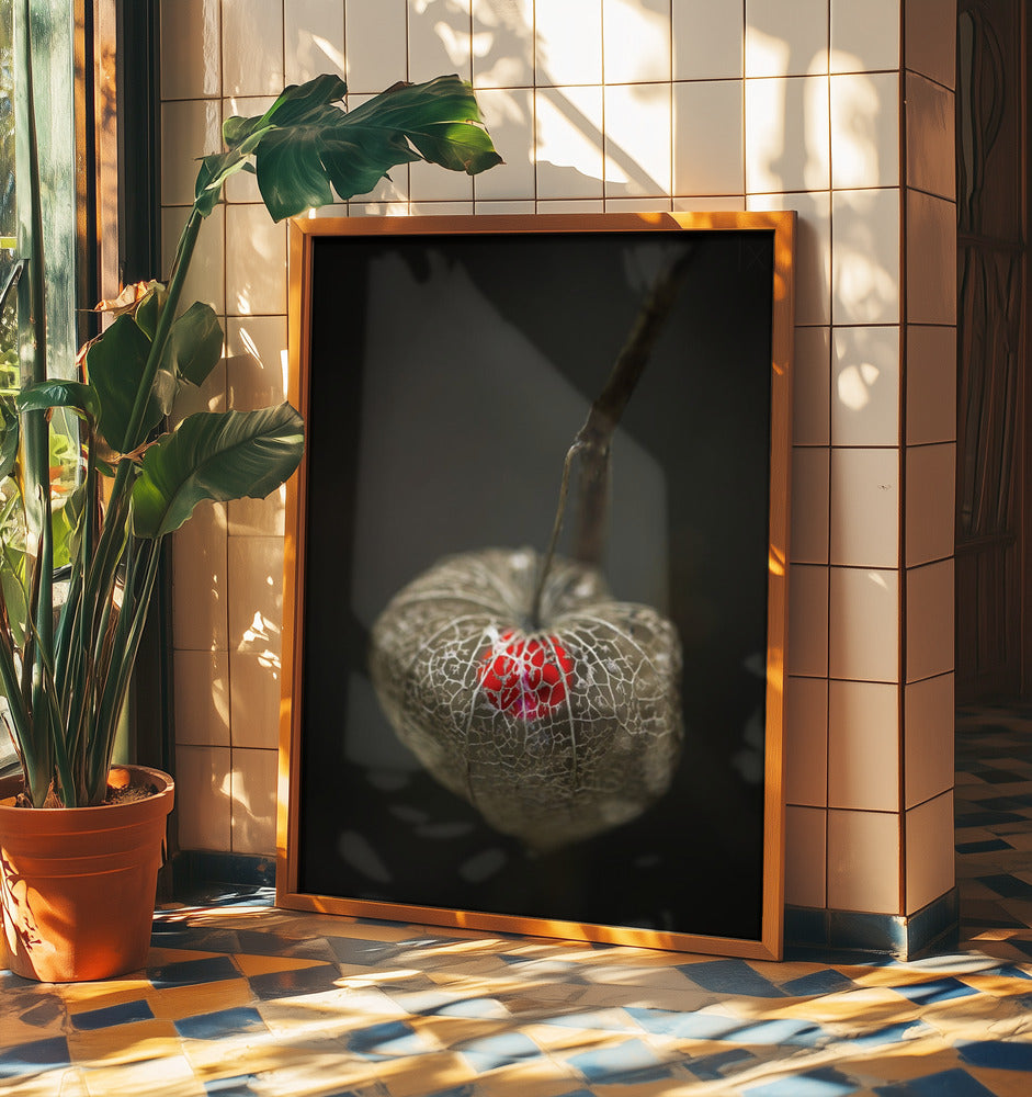 Amore in gabbia | Poster - Stampe d’Arte