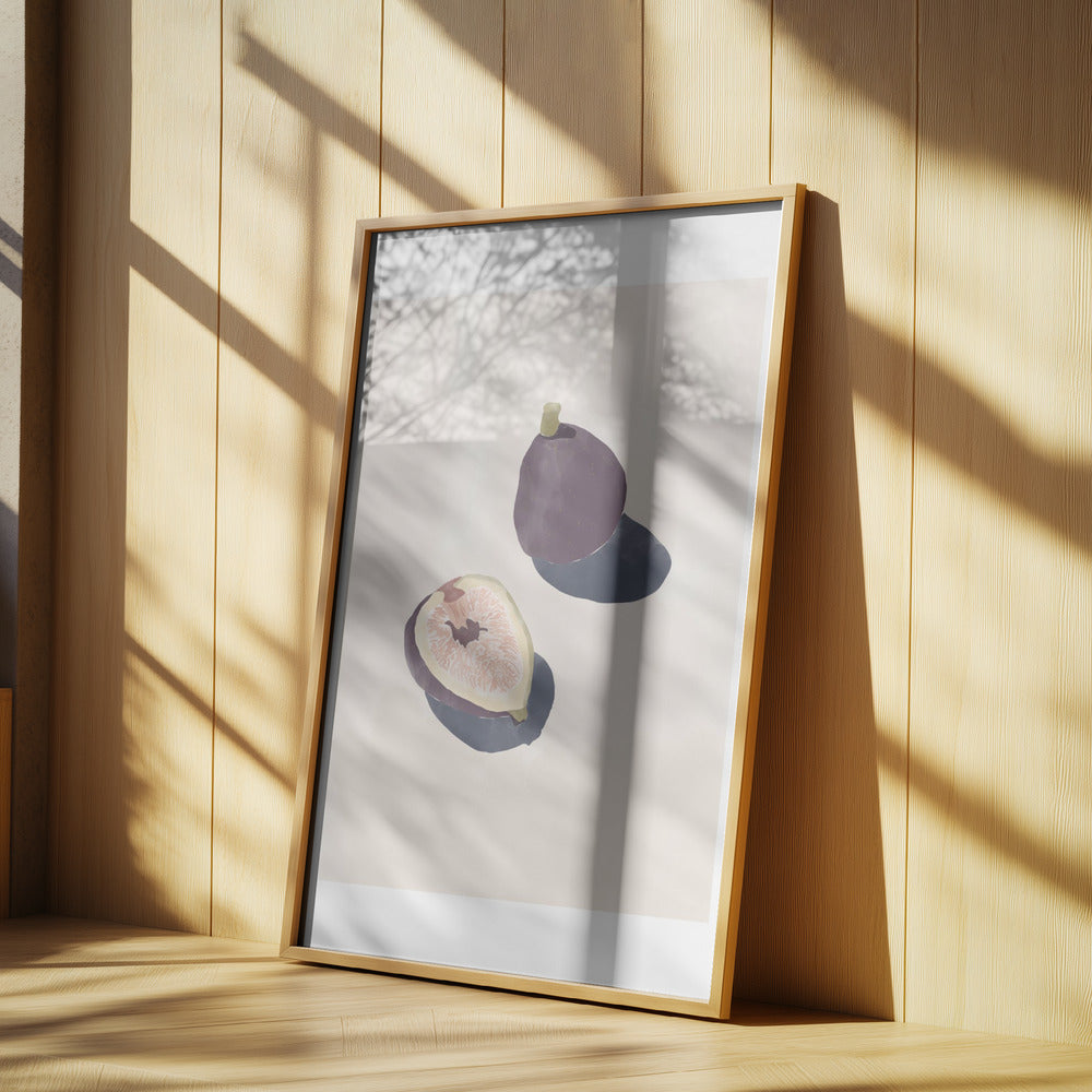 Figner | Plakater - Kunsttryk