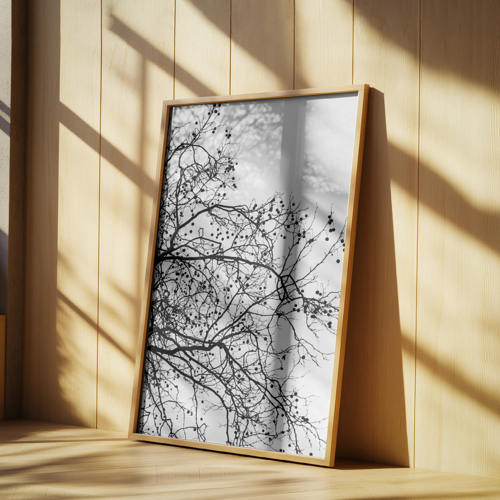 Winter Silhouettes 5 | Poster