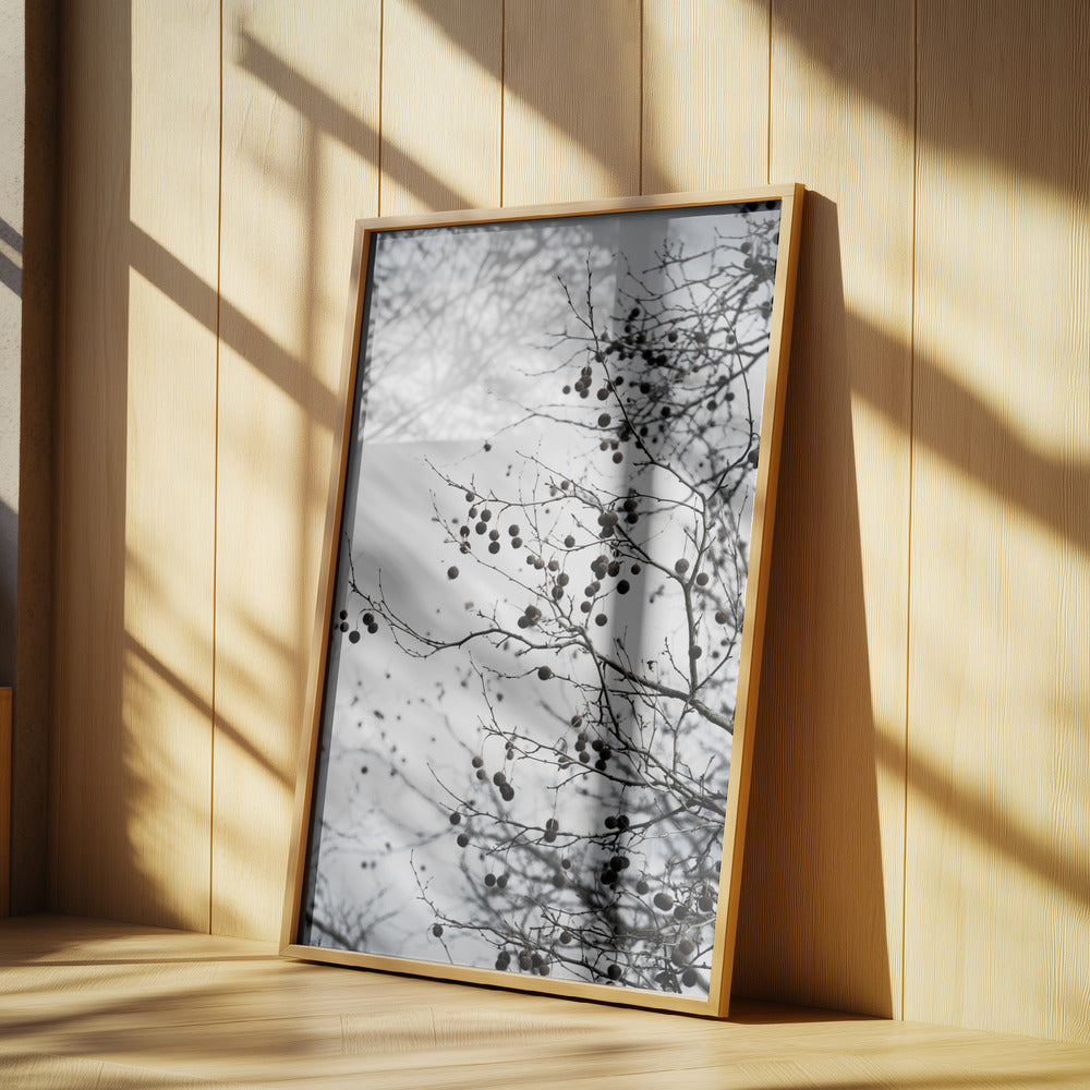 Winter Silhouettes 6 | Poster