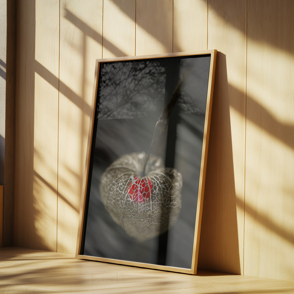 Amore in gabbia | Poster - Stampe d’Arte