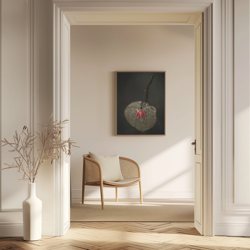 Amore in gabbia | Poster - Stampe d’Arte