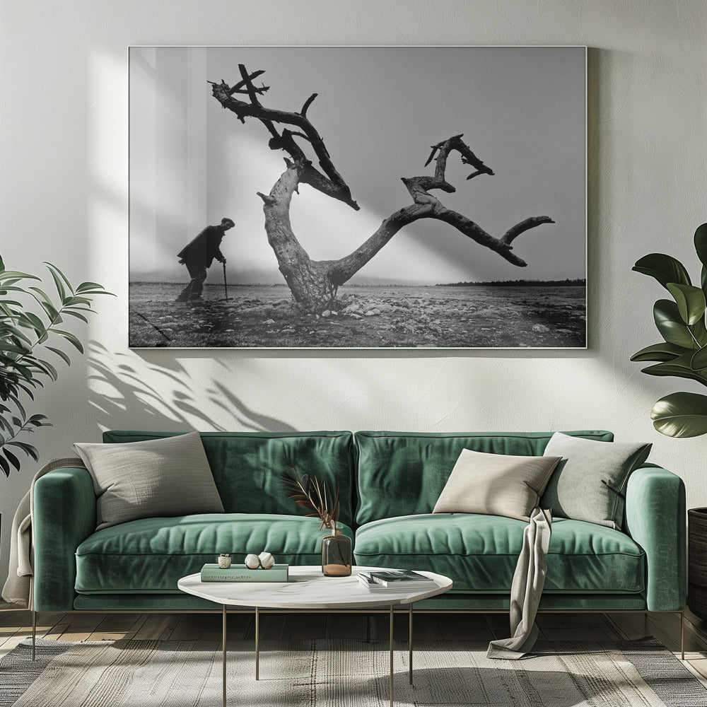 Gammal man och träd | Canvas