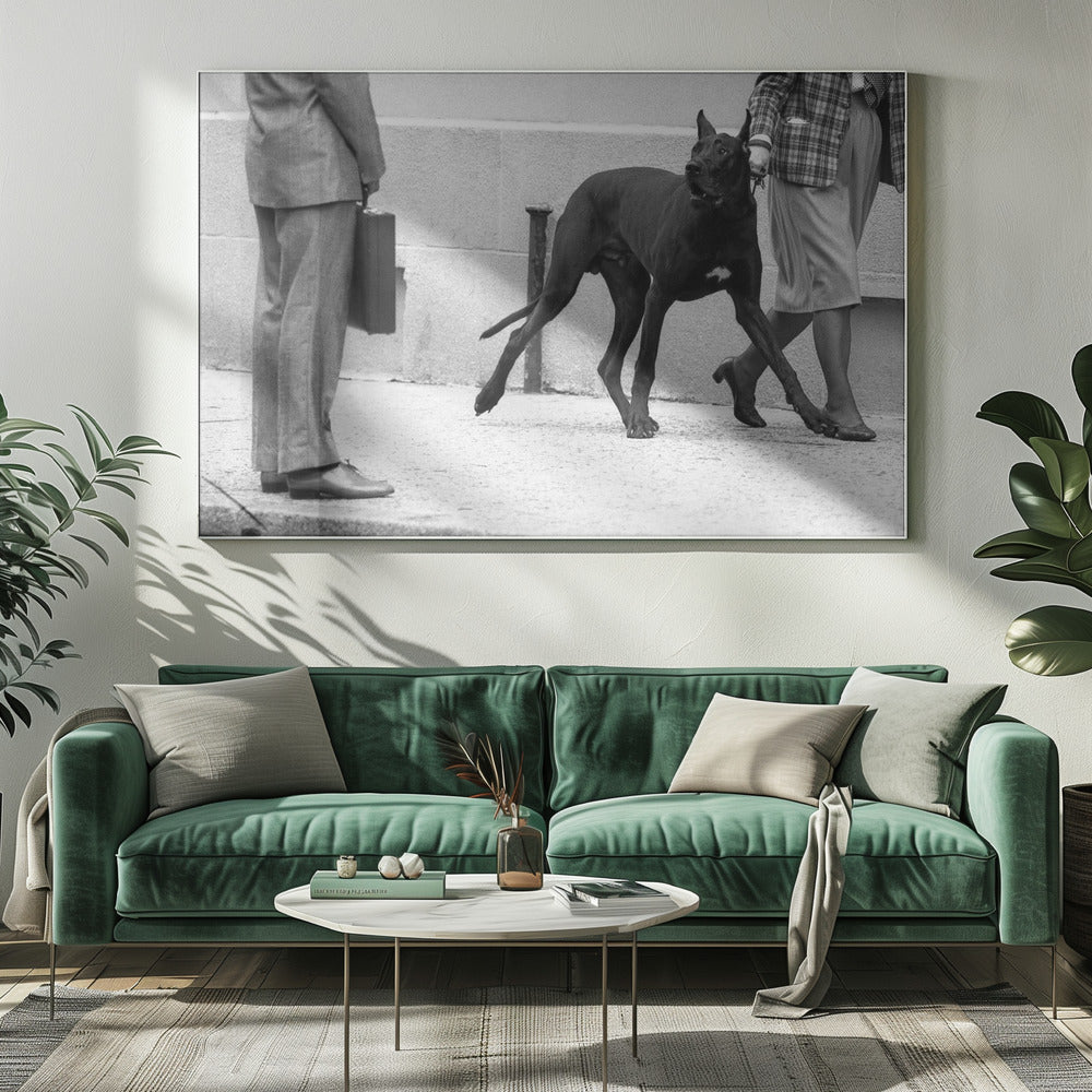 Great dane bodyguard (from the series &quot;Boy meets girl&quot;) | Canvas