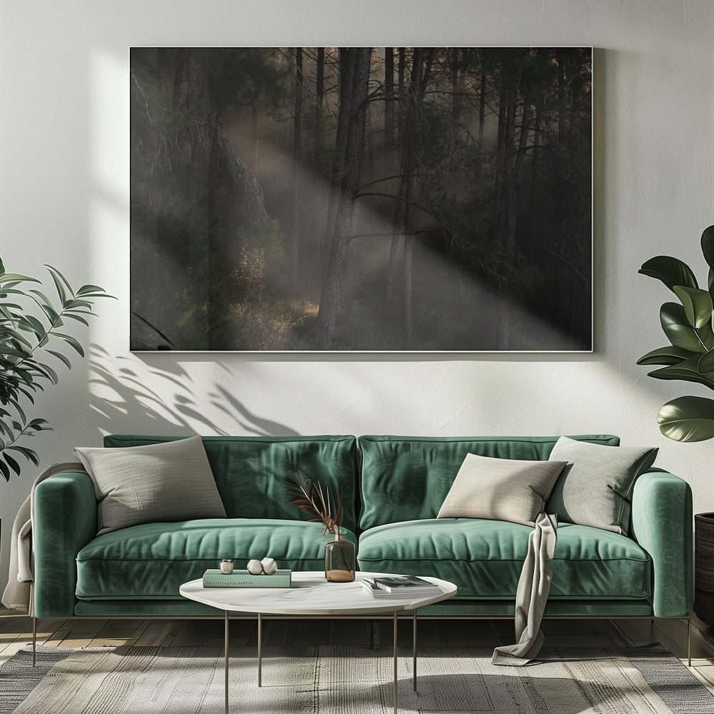 The Magic wood | Canvas