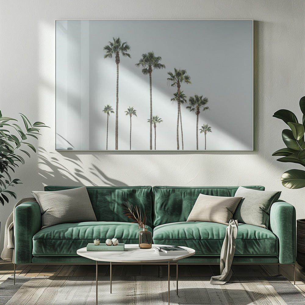 Cali Palms | Lerretsbilder