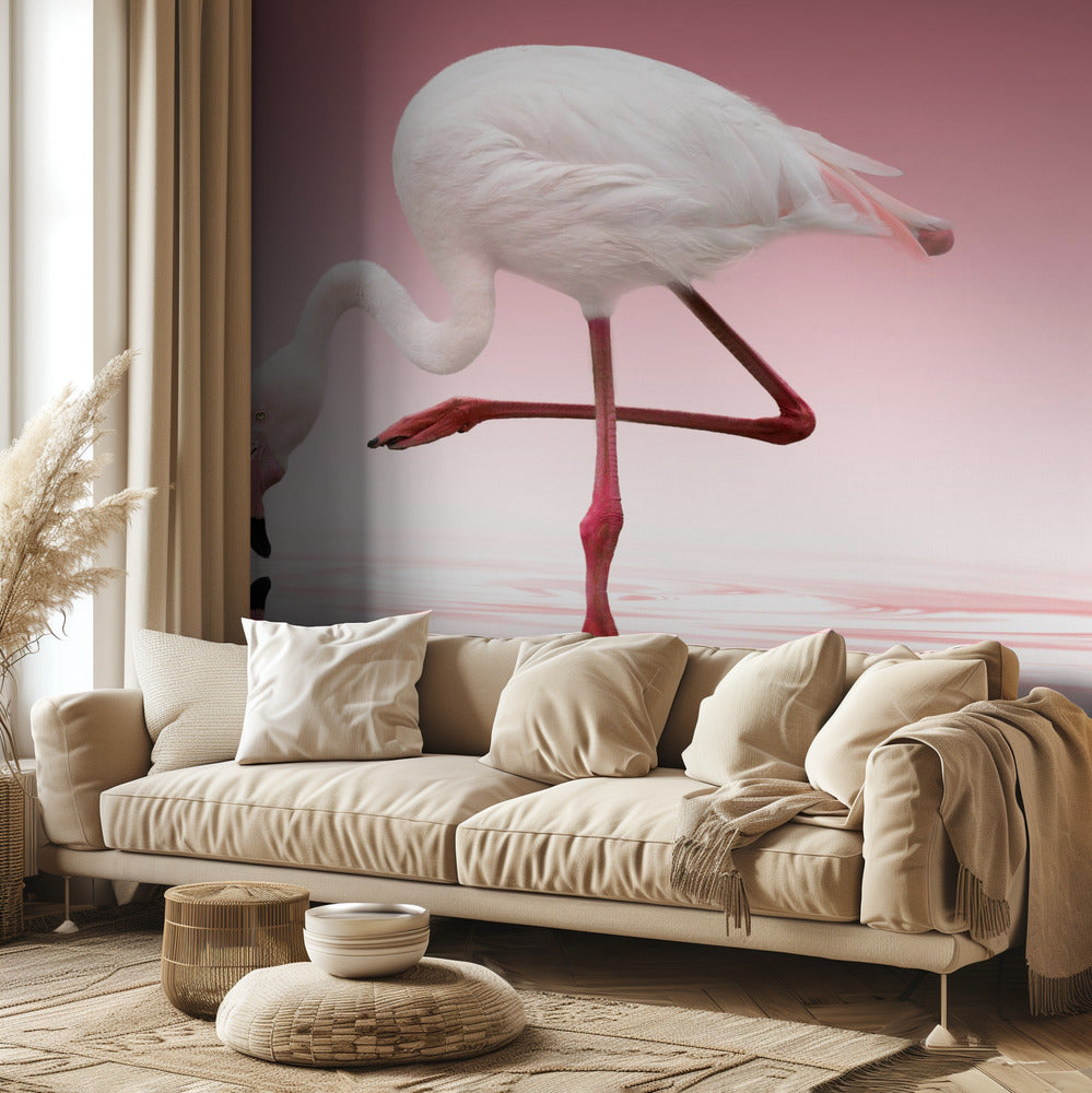 Flamingo | Fototapeten
