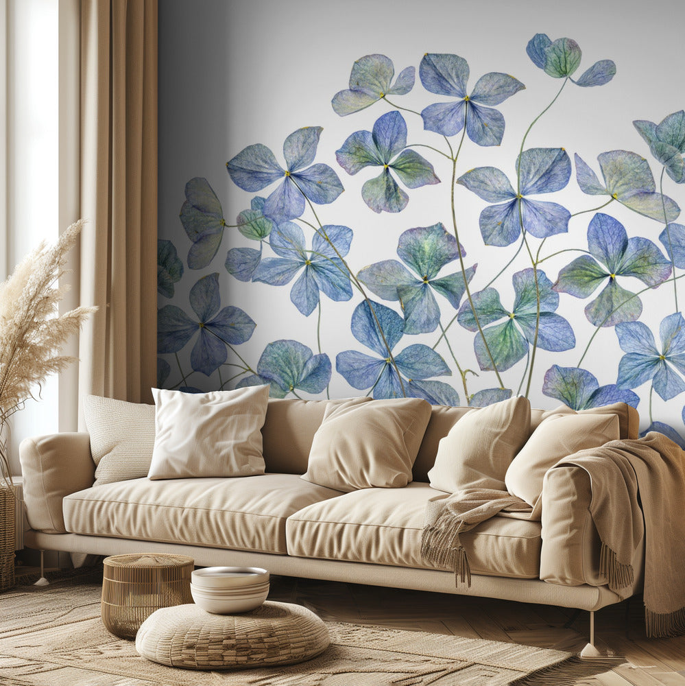 Hortensia | Valokuvatapetit