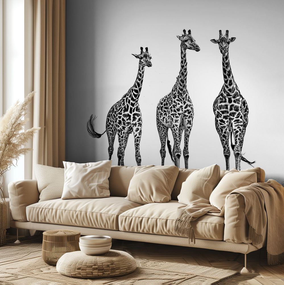 Giraffes in the  Mara plains | Wallpaper