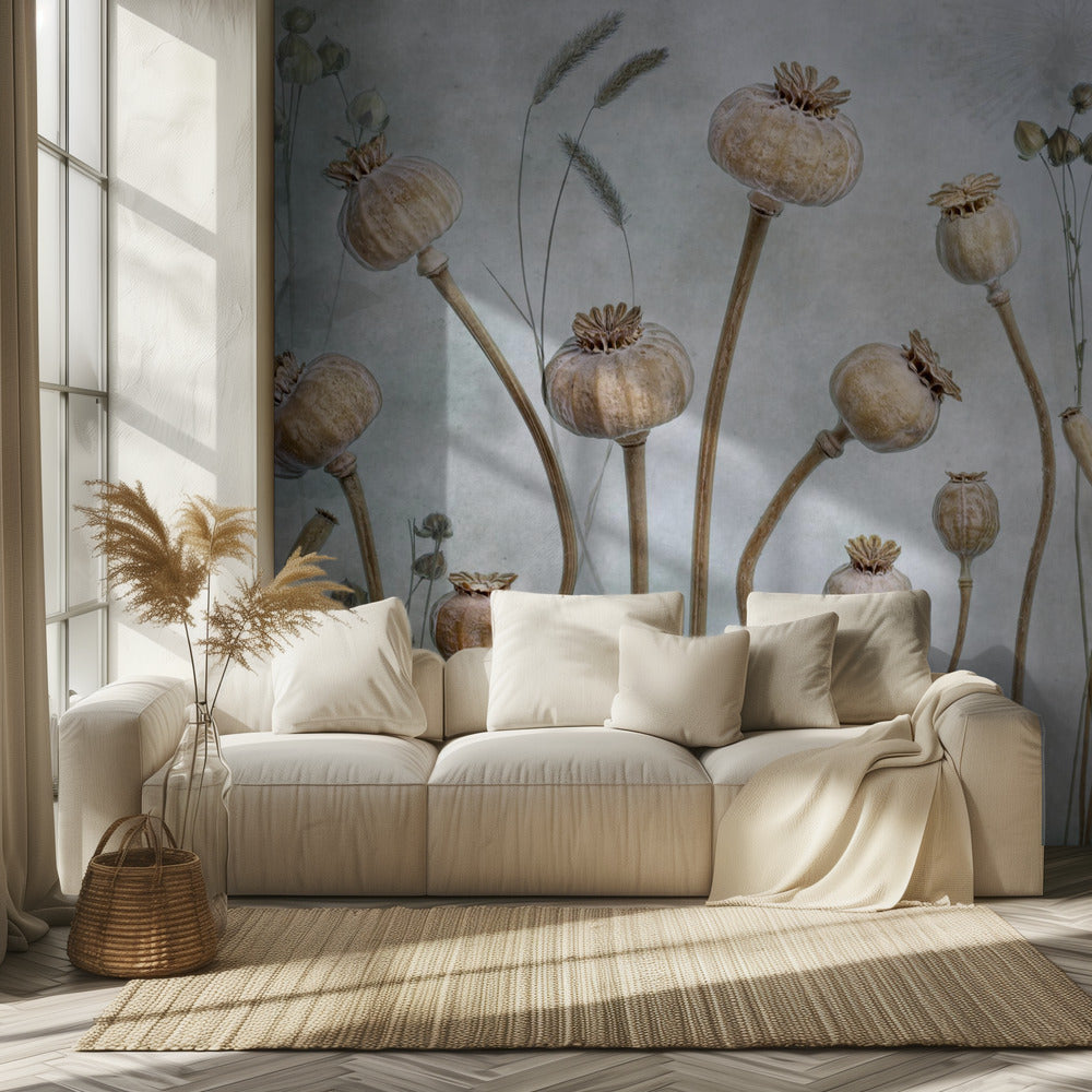 Mohn | Fototapeten