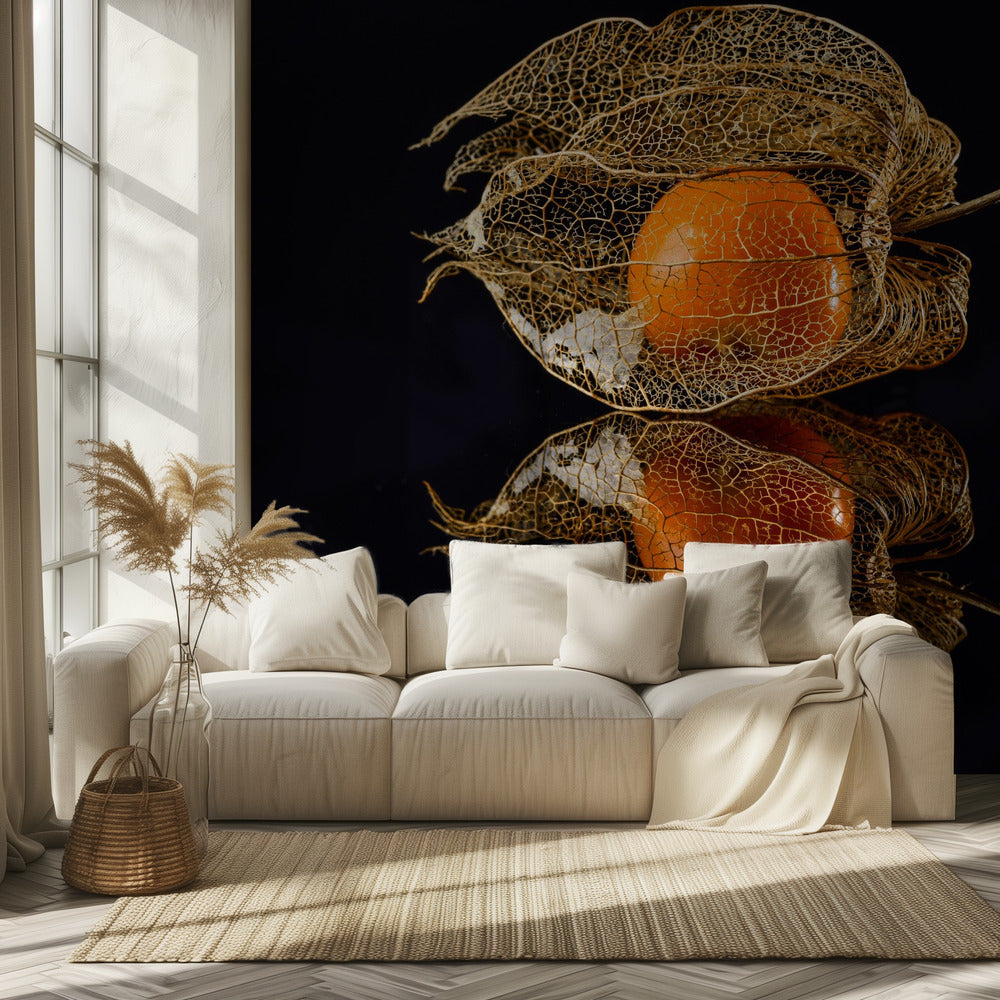 Physalis | Fototapeten