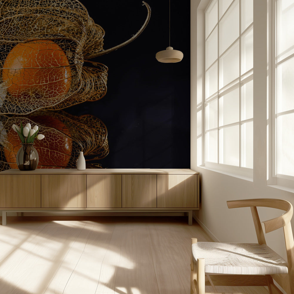 Physalis | Fototapeten