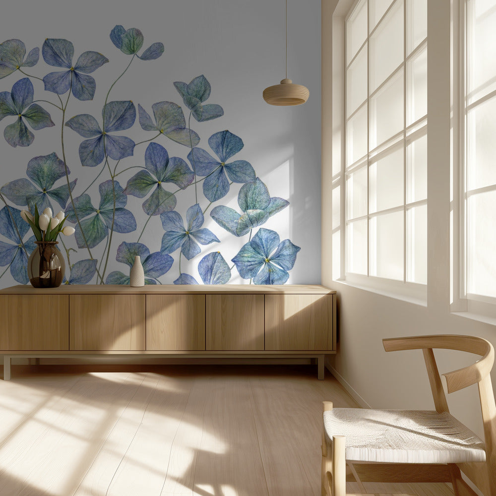 Hortensia | Valokuvatapetit