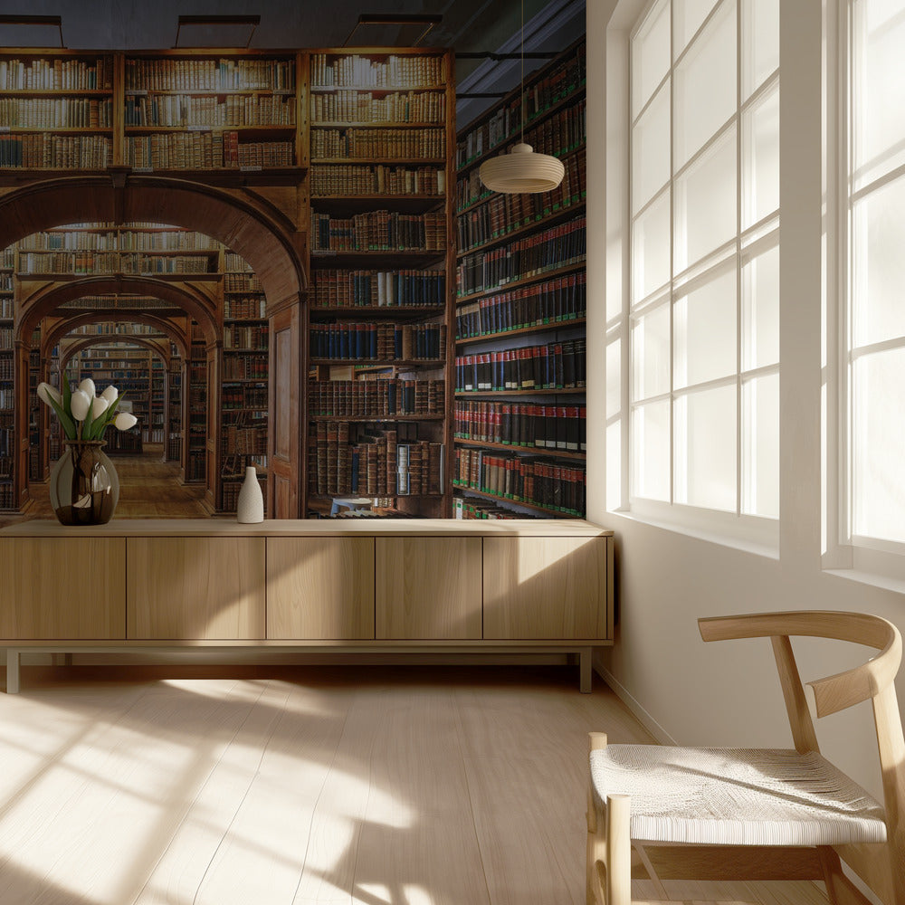 Biblioteca delle Scienze dell'Alta Lausitzia | Carta da Parati Fotografica