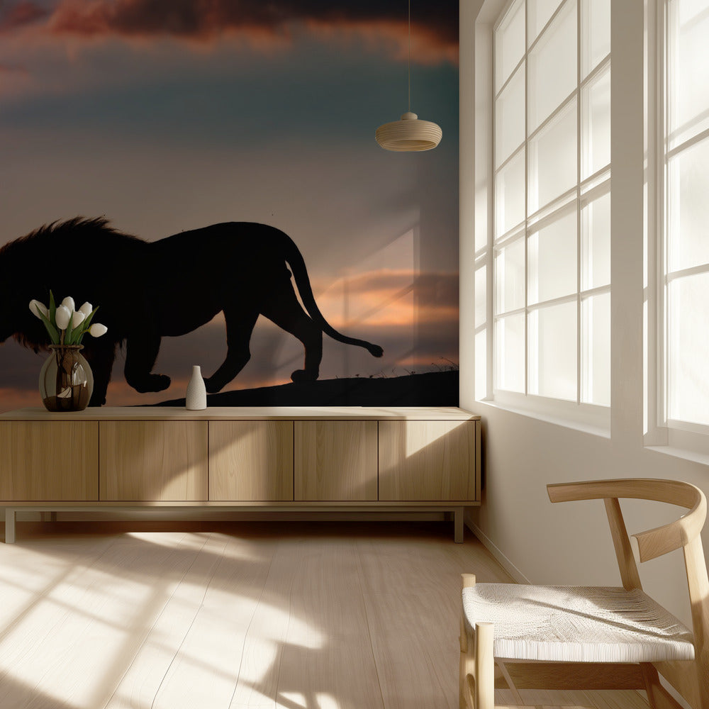 Zachód słońca w Serengeti | Fototapeta