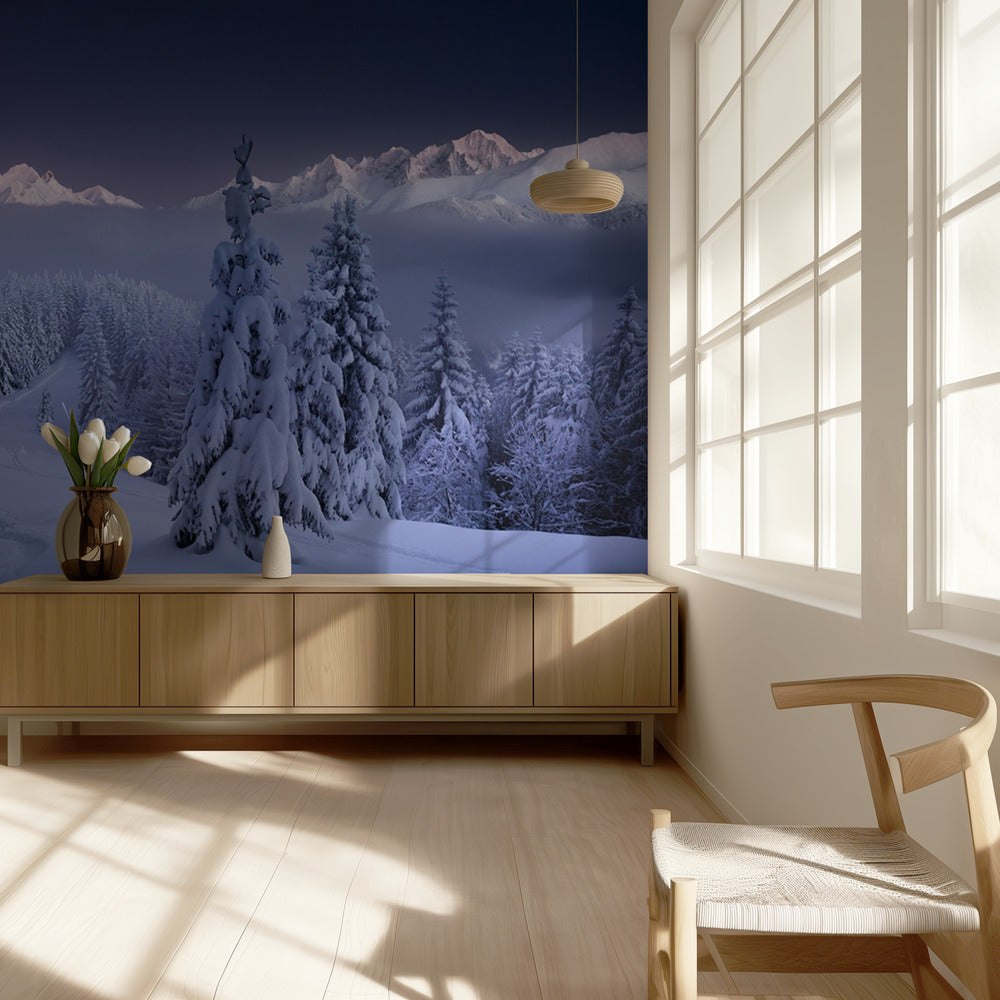 En hiver | Papier Peint Photo