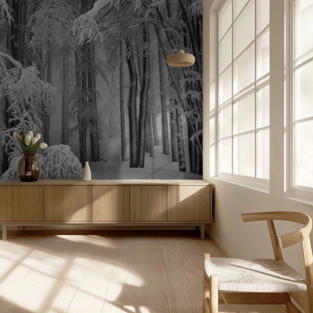 Invierno perfecto | Papel Pintado Fotográfico