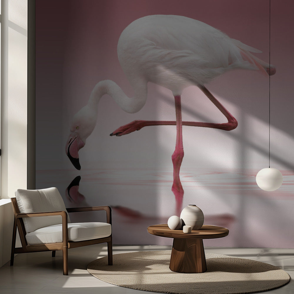 Flamingo | Fototapeten