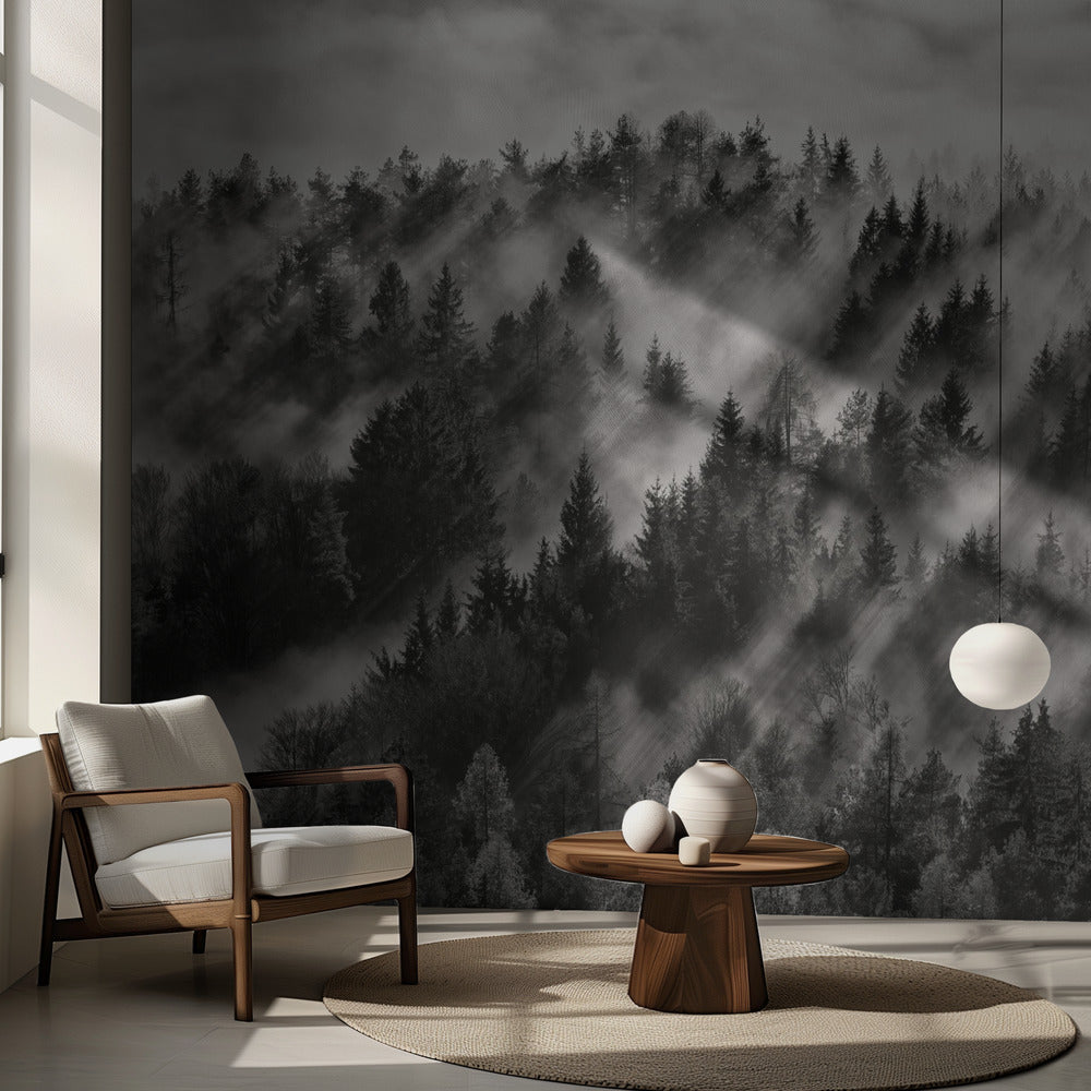 Sundance nro 1 | Valokuvatapetit