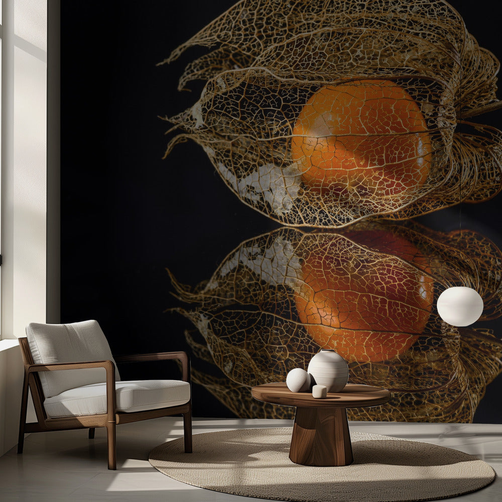 Physalis | Fototapeten