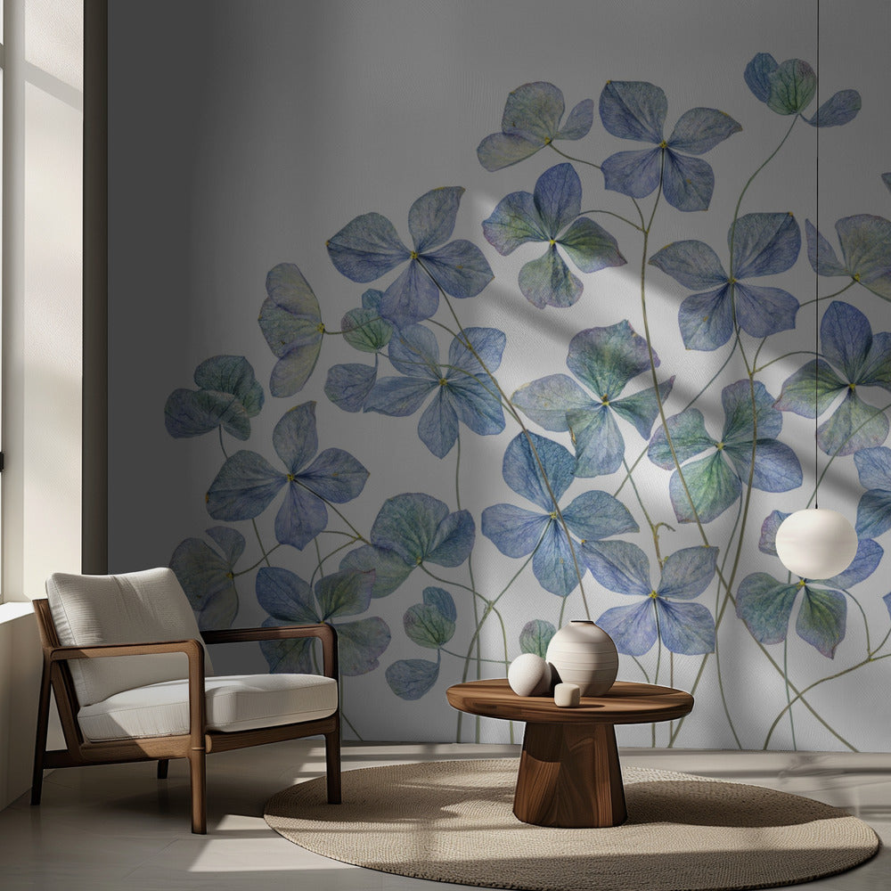 Hortensia | Valokuvatapetit