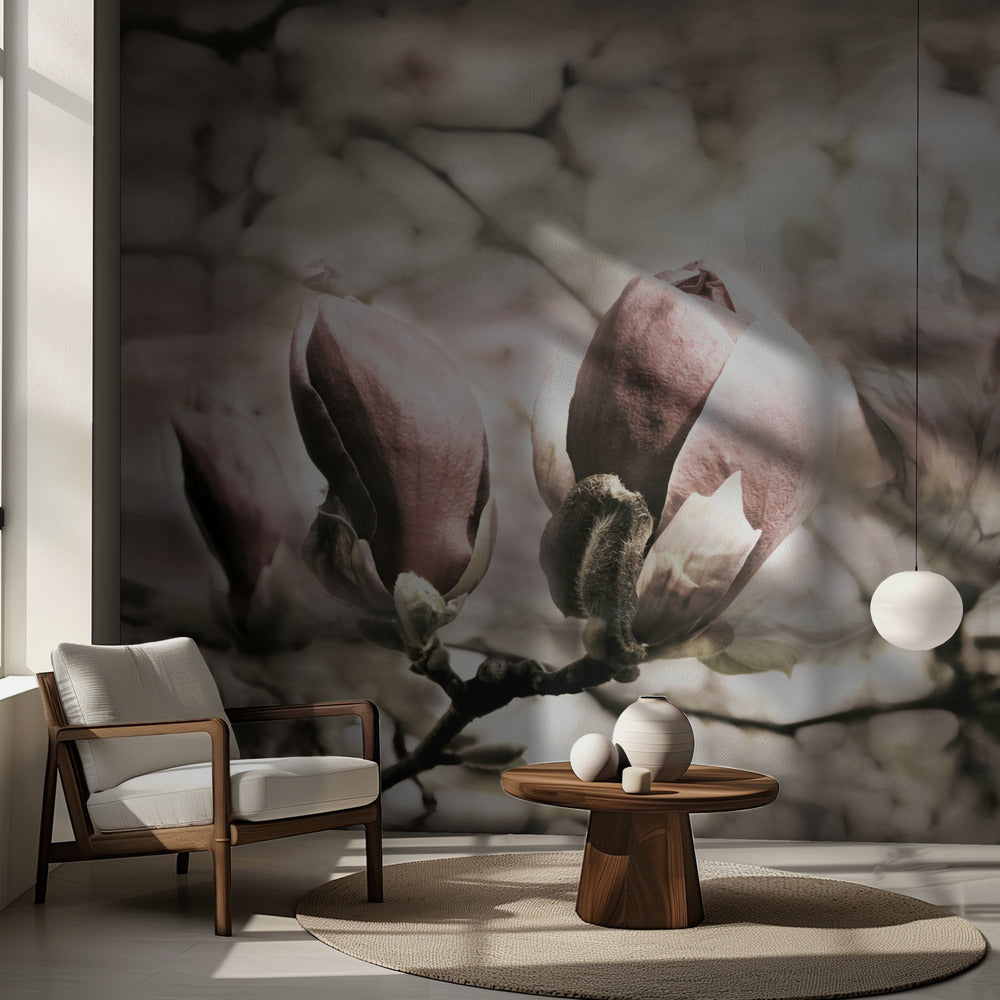 Magnoliakällan | Fototapet