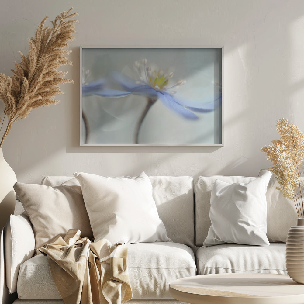 Tanzende Anemonen | Poster - Kunstdruck
