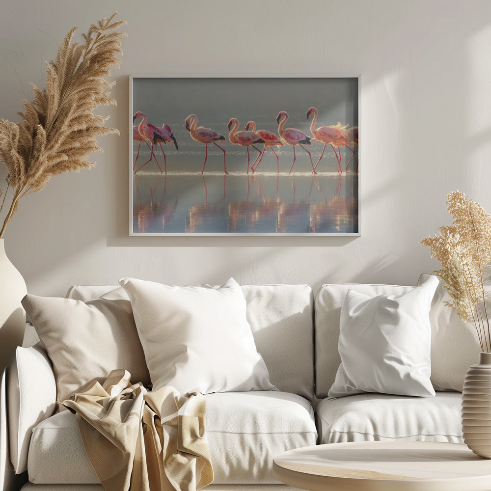 Flamingo | Plakater - Kunsttryk