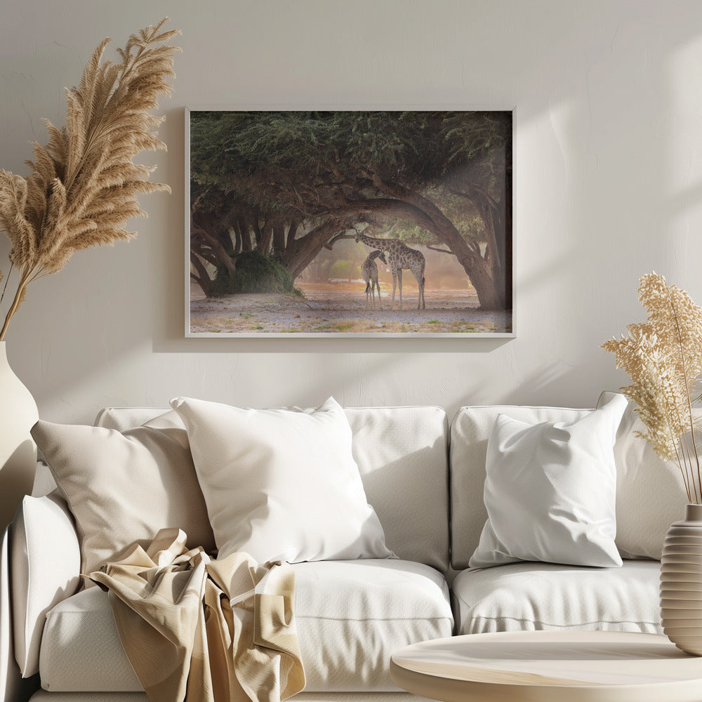 Girafe-Namibie | Posters - Affiche Artistique