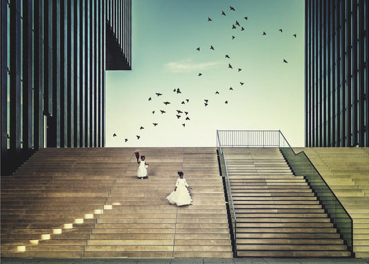 Vrij als een vogel... | Posters - Kunstdrukken