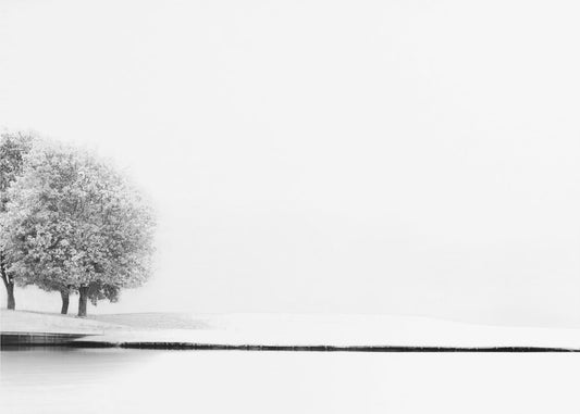 United #2 | Lerretsbilder