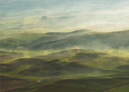 Mattina dorata-Palouse | Carta da Parati Fotografica
