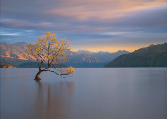 Morgenglühen | Fototapeten