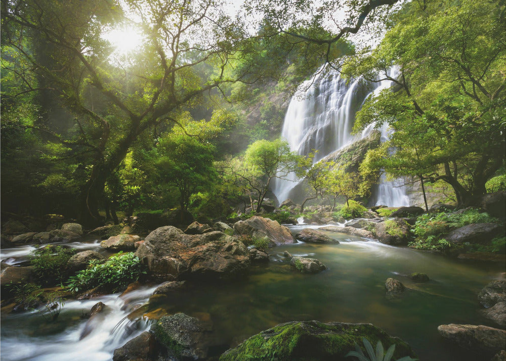 Ruisseau de montagne | Papier Peint Photo