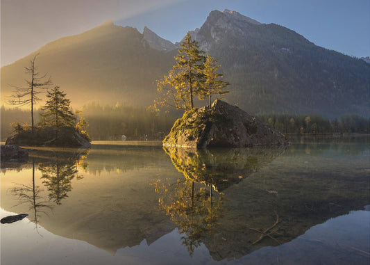 Goldener Morgen | Fototapeten