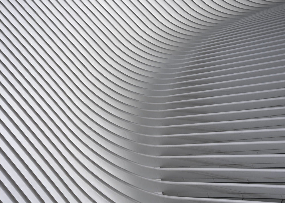 Curve di Calatrava n. 2 | Poster - Stampe d’Arte