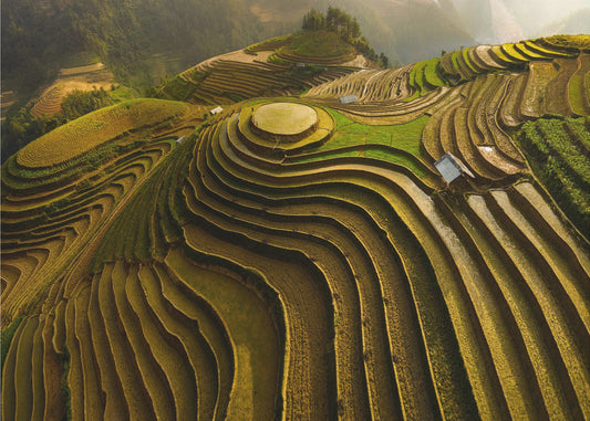 mu cang chai - Wietnam | Fototapeta