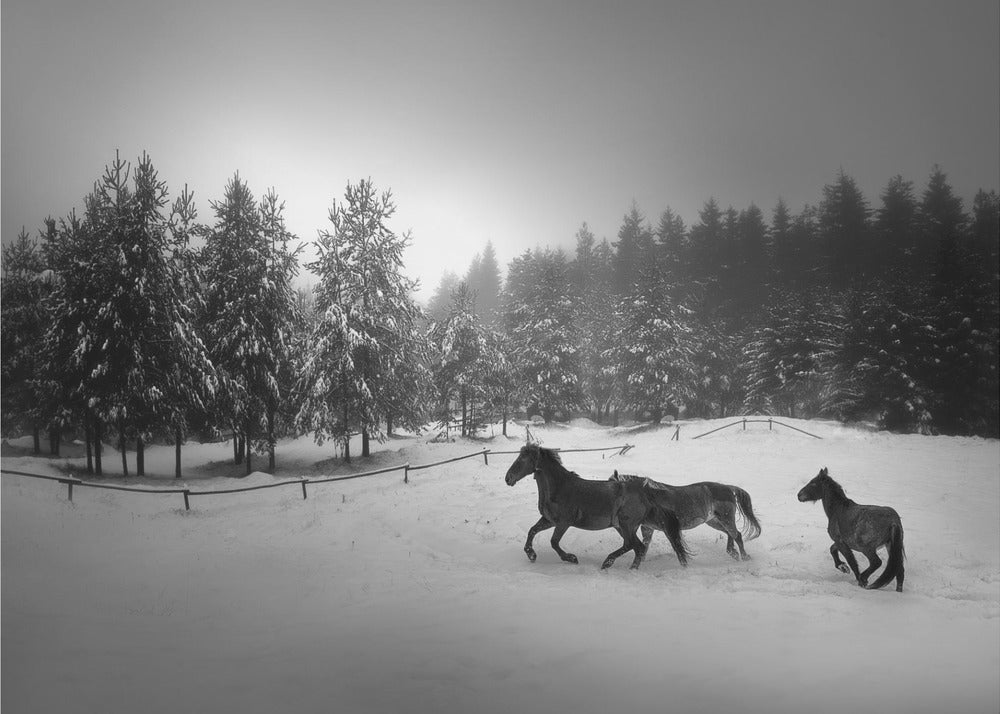 Sans titre | Papier Peint Photo