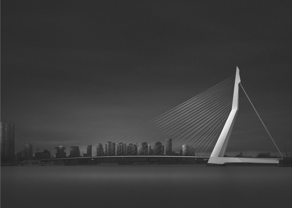 Erasmo da Rotterdam | Carta da Parati Fotografica