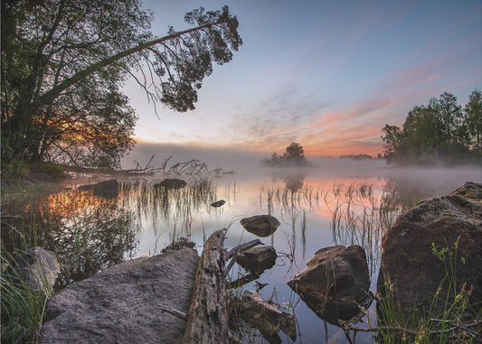 fredelig morgen | Fototapeter