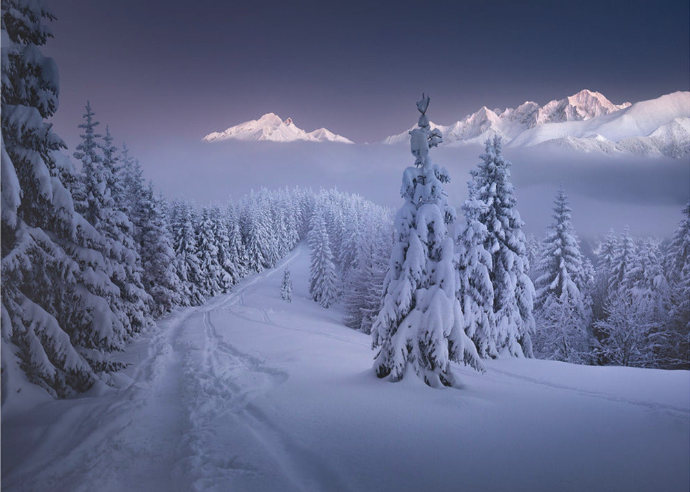 En hiver | Papier Peint Photo