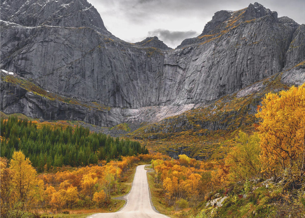 Strada per il Muro | Carta da Parati Fotografica
