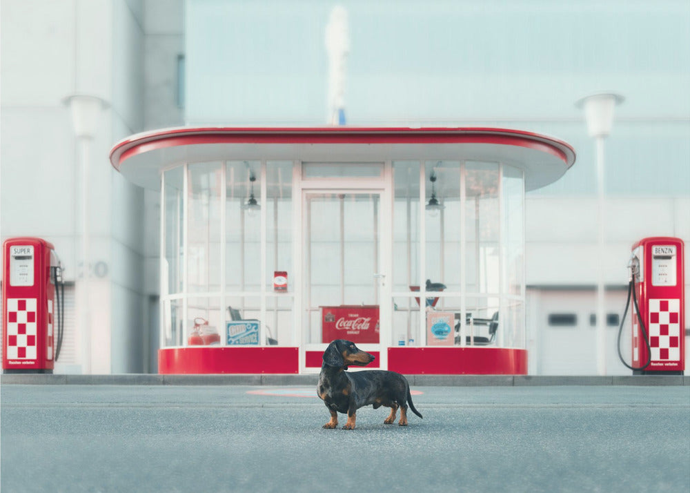 Der Tankwart | Fototapeten