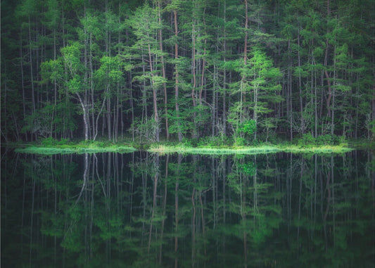 Mundo Verde | Papel Pintado Fotográfico