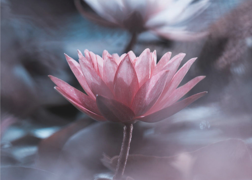 Silence | Papier Peint Photo