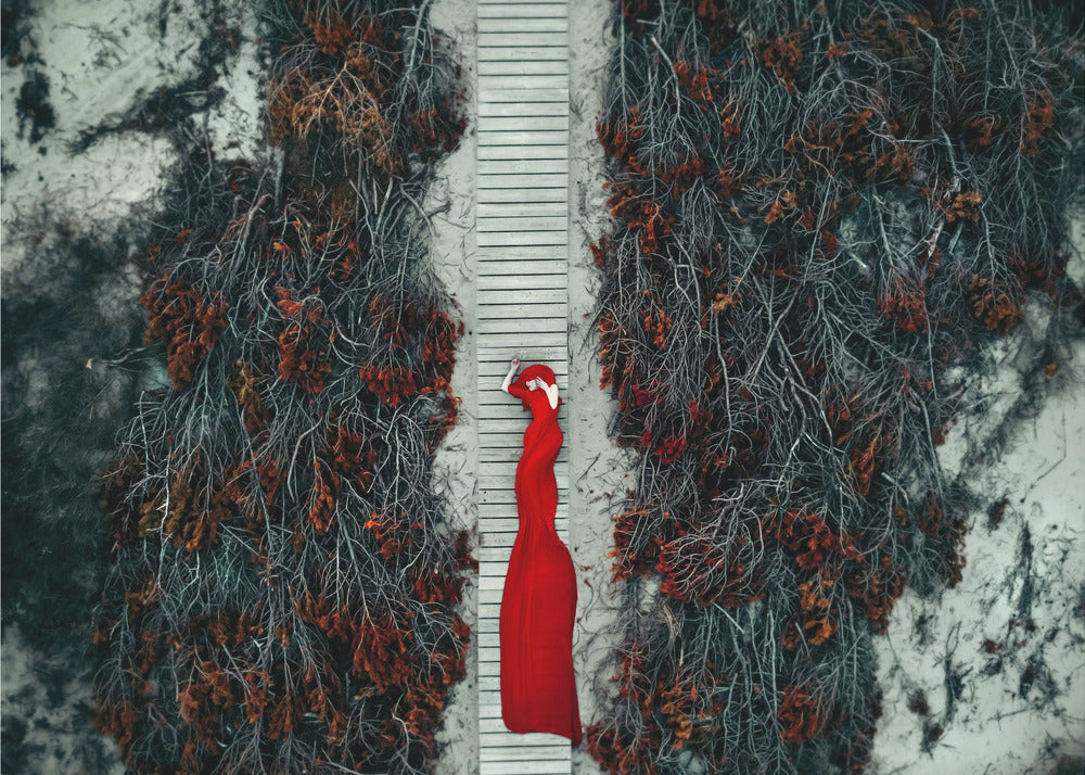 Sentier cramoisi | Tableaux sur Toile