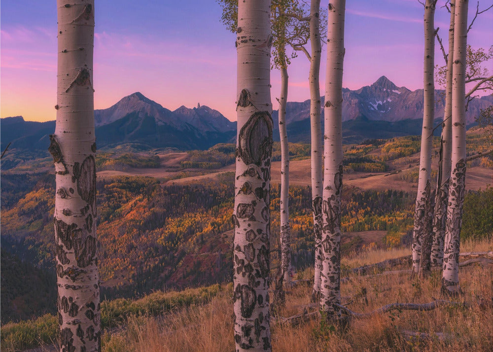 Aspen-Rahmen | Fototapeten