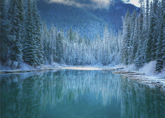 Tierra maravillosa de invierno | Papel Pintado Fotográfico