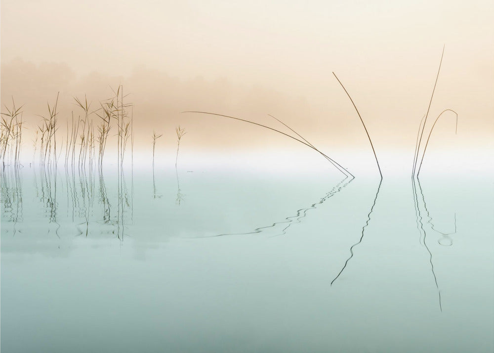 Silenzio | Carta da Parati Fotografica