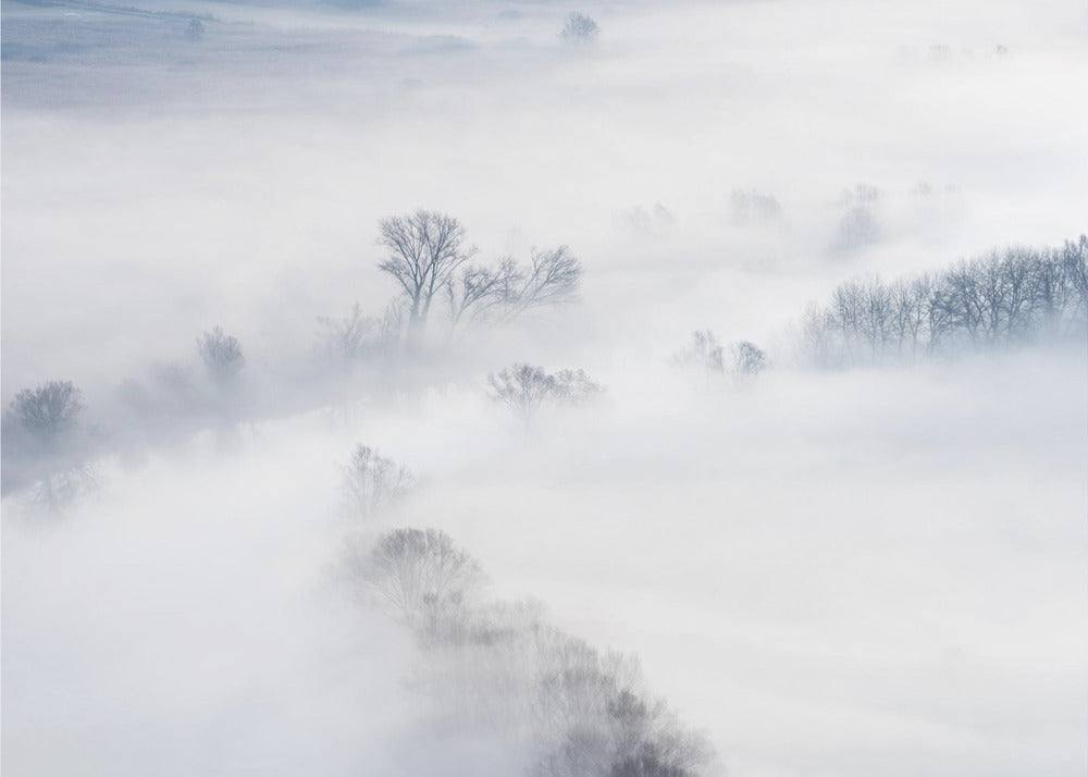 Inverno | Carta da Parati Fotografica
